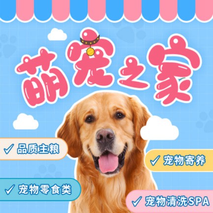 建湖萌宠之家小程序开发