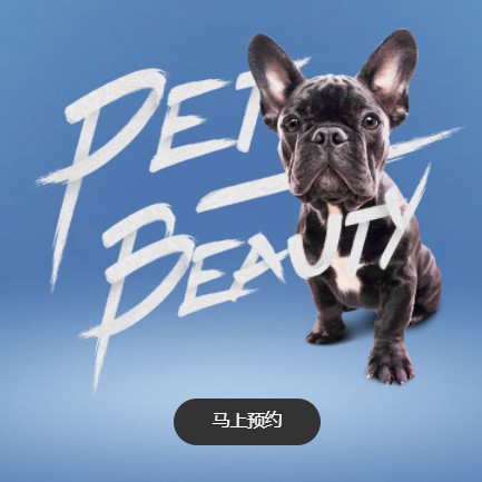 建湖宠物中心小程序开发