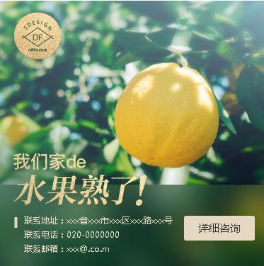 建湖果园果林小程序开发